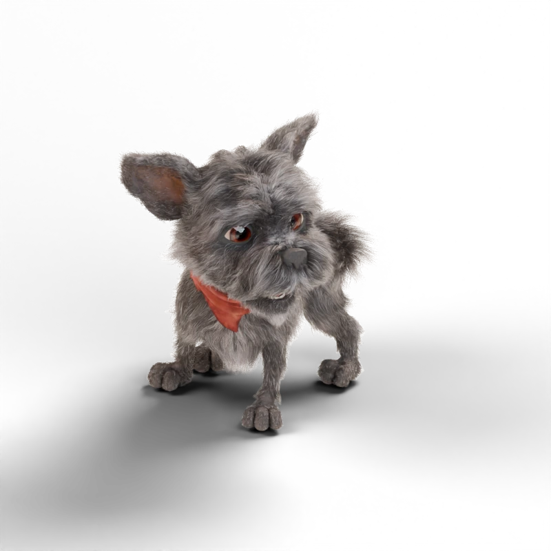 Autumn, a scruffy gray dog wearing an orange scarf.